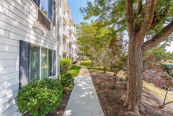 Pathway alongside the building with greenery