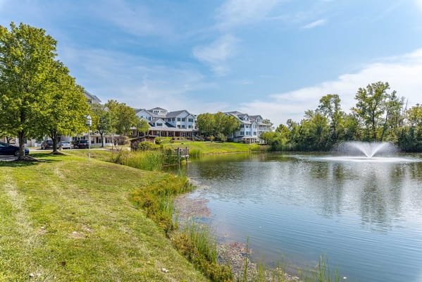 Serene outdoor view of a pond with surrounding greenery
