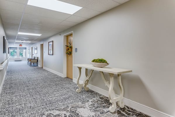 Bright hallway with decorative table and plants