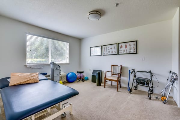 Therapy room with equipment and seating