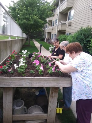 Residents gardening together in an outdoor flower bed