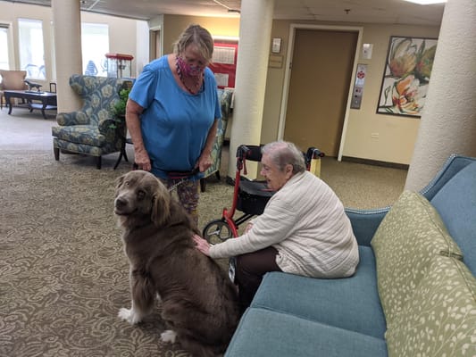 Residents interacting with a therapy dog in a common area