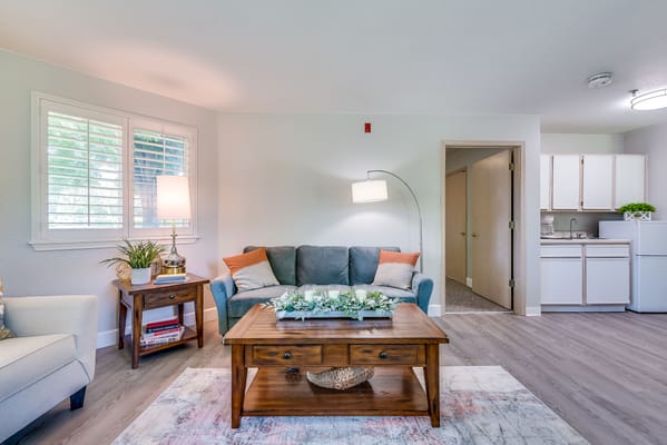 Cozy living space with couch and kitchenette