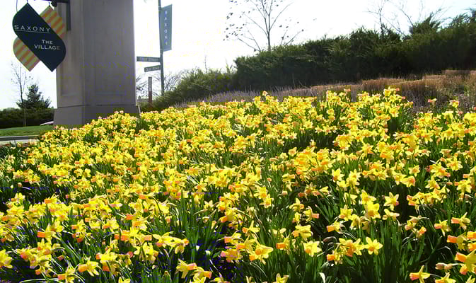 Bright flower beds outside the facility entrance