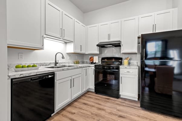 Modern kitchen with white cabinetry and appliances