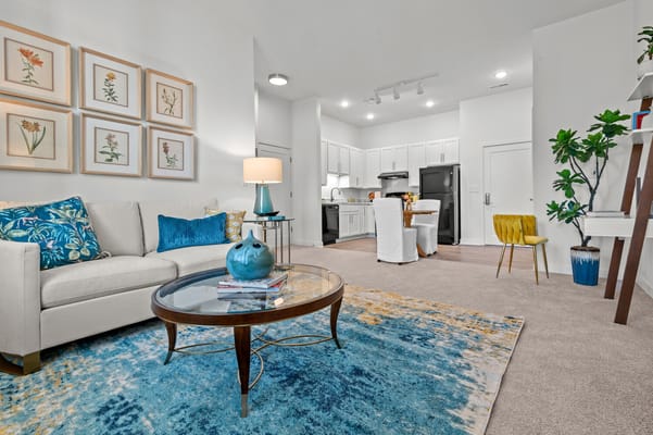 Bright living room area with modern decor