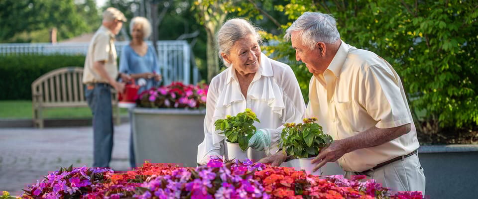 The Knolls, A Bethel Community