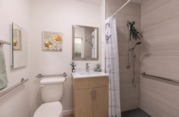 Modern bathroom with accessible shower and decor