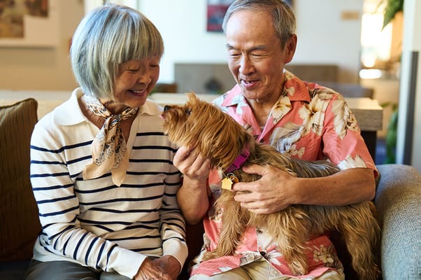 Volante Senior Living of Las Vegas