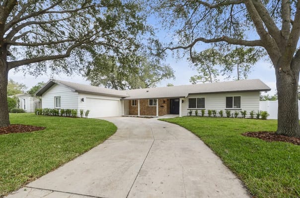 Vivant at Willa Vista