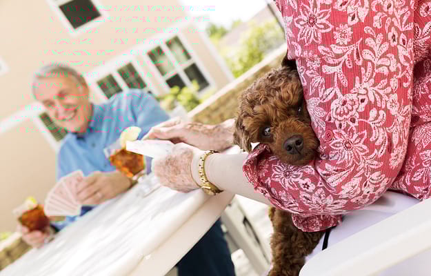 OceanView At Falmouth