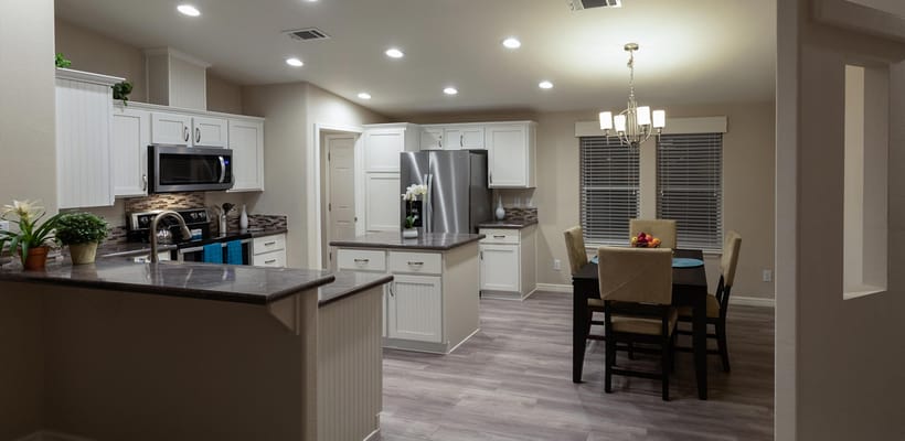 Palmas Del Sol East Active 55+ Community