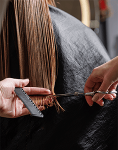 Allaire Rehab and Nursing