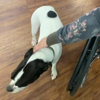 Carmi Manor Rehabilitation and Nursing