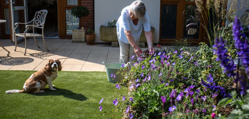 Senior woman gardening outdoors with a dog nearby