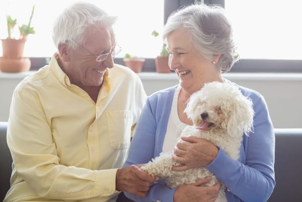 Elderly couple enjoying time with a small dog