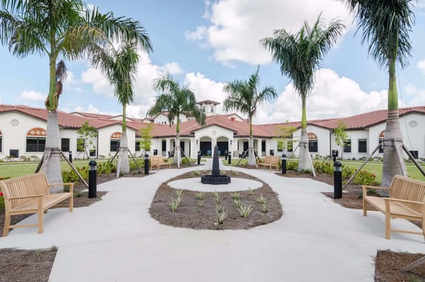 Outdoor courtyard with palm trees and walking paths