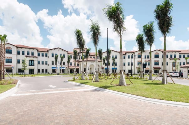 Front entrance of American House Coconut Point with palm trees