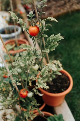 Argentum Lodge Care Home