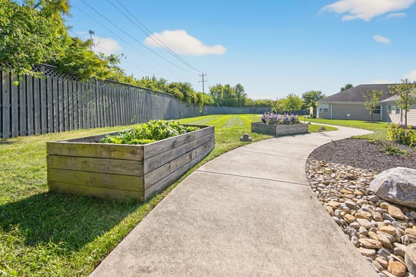 Pathway in an outdoor garden space with raised planters