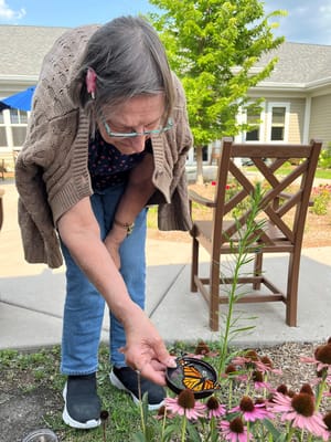 Resident engaging with nature in the garden