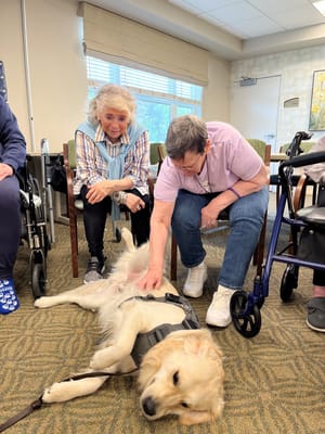 Residents interacting with a therapy dog in a common area