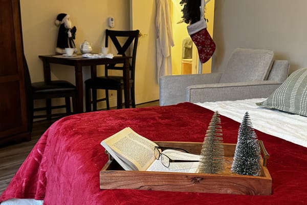Cozy private resident room decorated for the holidays