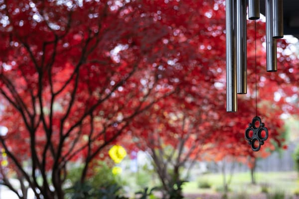 WindChime of Marin Memory Care
