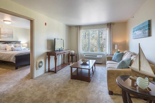 Cozy interior view of a resident's living room