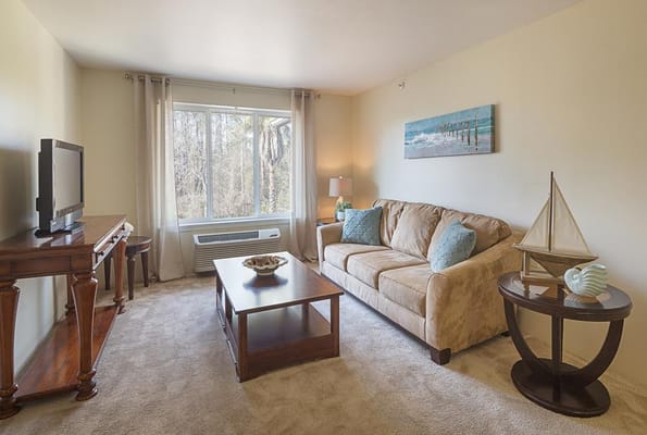 Cozy interior living room with comfortable furnishings