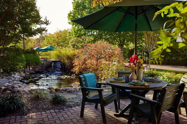 Outdoor seating area by a small pond with flowers