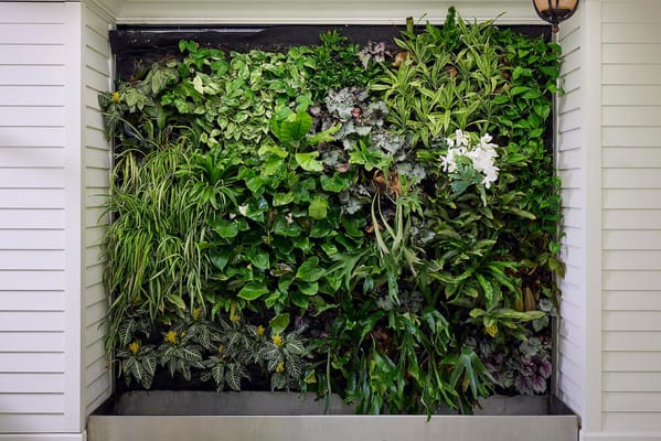 Vertical garden feature with various plants