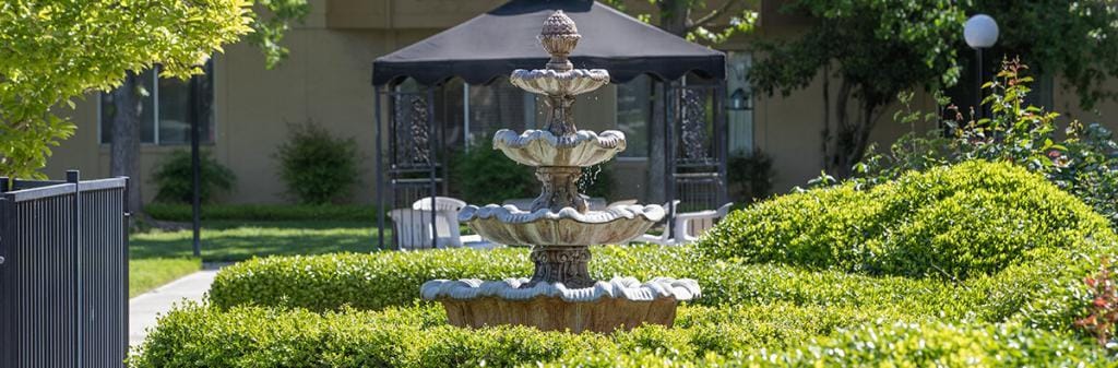 Fountain surrounded by greenery in an outdoor space