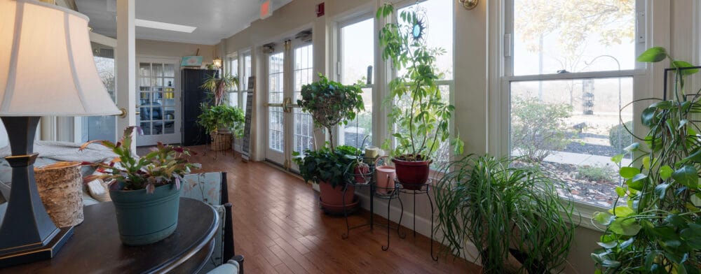 Bright sunroom with plants and wooden floors