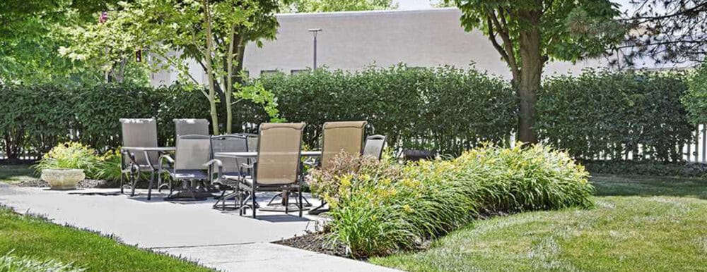 Outdoor seating area with chairs and plants