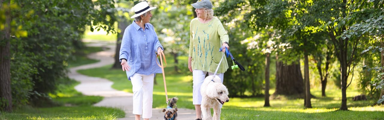Two women walking dogs on a sunny path