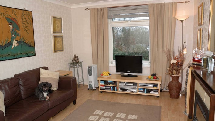 Living room with a brown sofa, television, and decorative items