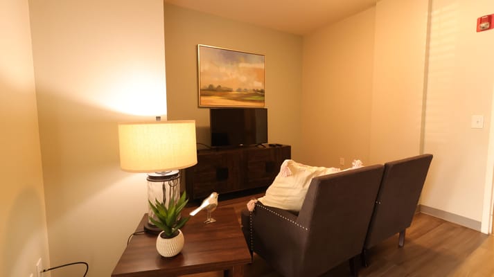 Lounge area with a lamp, plant, and television