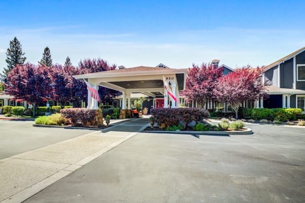 Entrance with American flags and purple-leafed trees