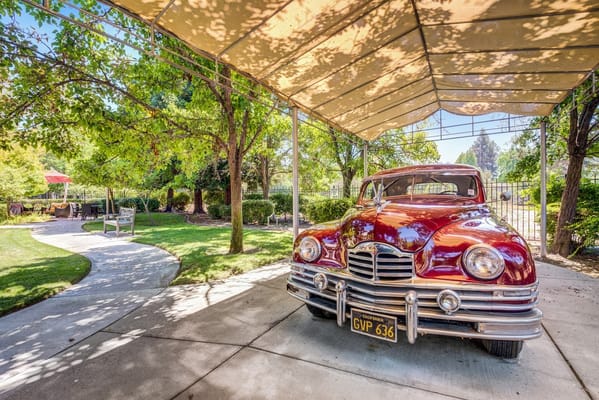 Classic car under a shaded outdoor area in the facility garden