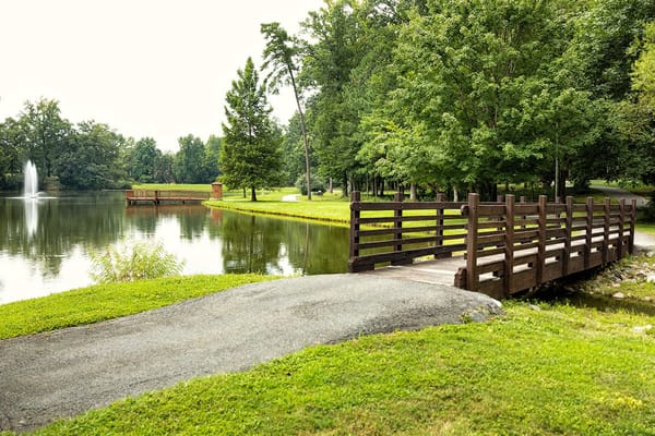 Bridge over a serene pond in a landscaped area