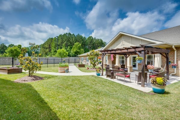 Seating area with plants and pergola in garden