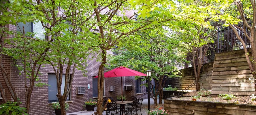 Outdoor seating area with trees and patio umbrella