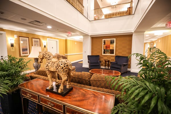 Stylish lobby featuring decorative furniture and plants