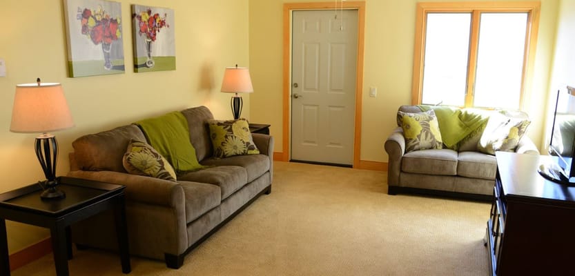 Cozy living room area with sofas and decor