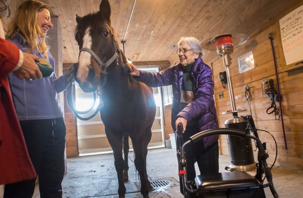 Residents interacting with a horse in an interior space