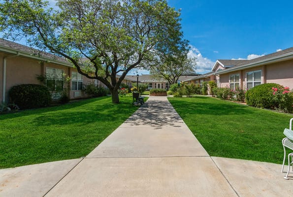 Well-maintained garden path surrounded by greenery