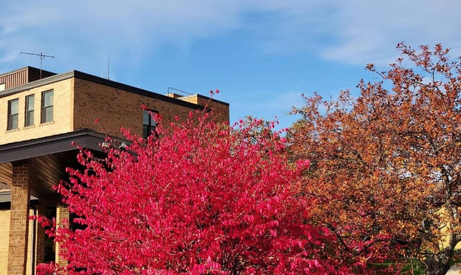 Vibrant landscaping with colorful trees around the facility