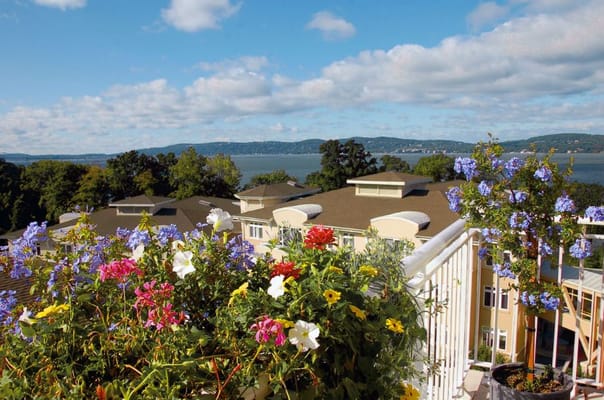 Flowering plants on a terrace overlooking a river