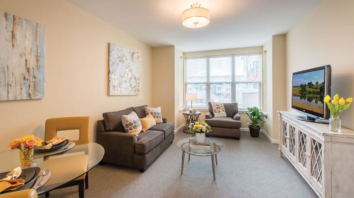 Bright living room with comfortable furniture and decor